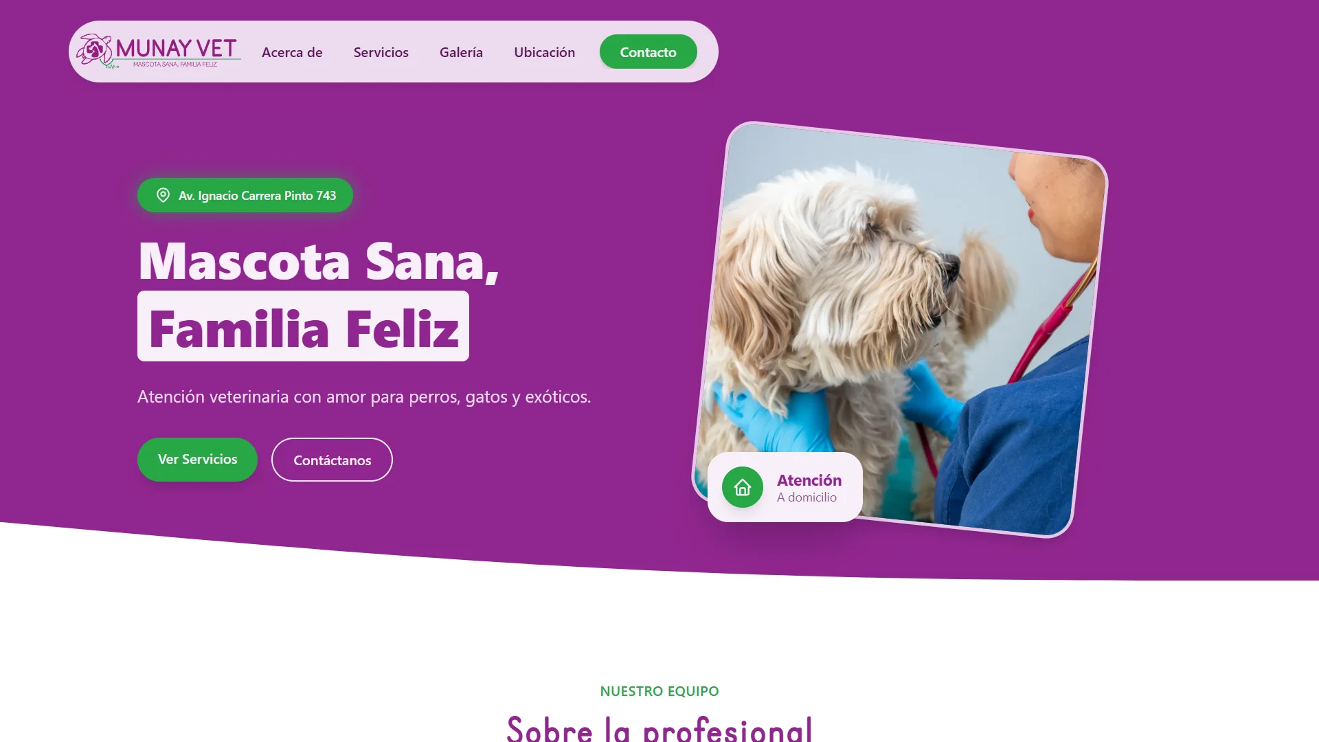 Web corporativa veterinaria - Sistema de gestión y portal corporativo para red de clínicas veterinarias, enfocada en la experiencia de usuario.